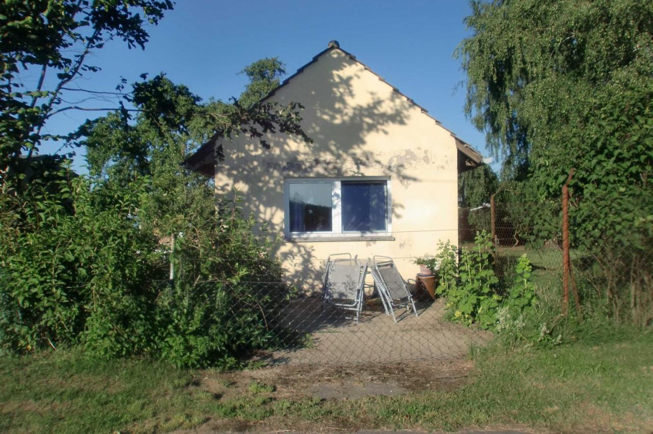 Reinecke Brigitte Re Apartment Zemitz